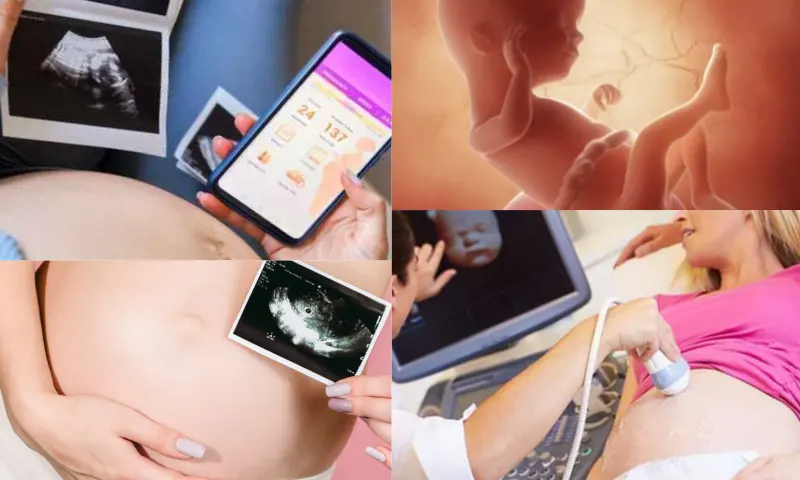 Hamilelik Takibi: Sağlıklı Bir Gebelik İçin Adımlar