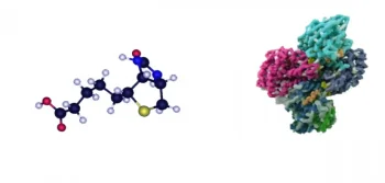 Addison Hastalığı Nedir?